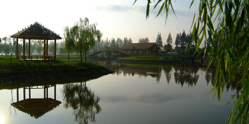 c25c813e7e2b87706cceae8a33dfbe7b_w800_h400_c1_t0.jpg